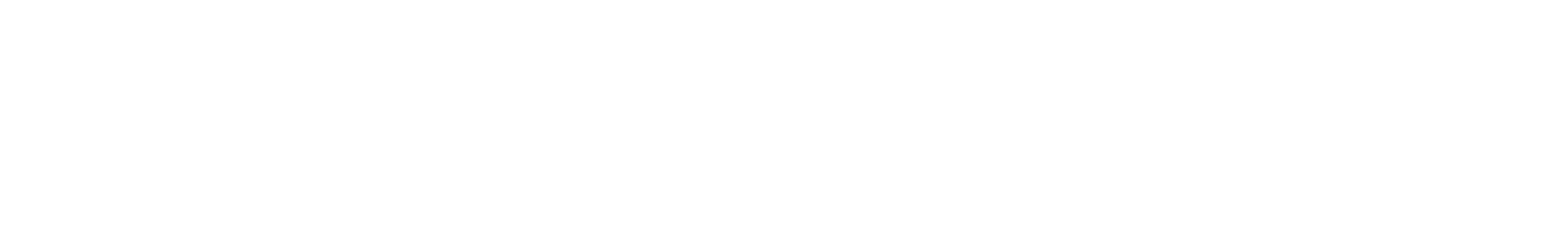 Integrated Resources Inc.